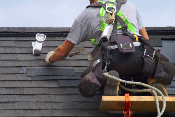 Best Flat Roof Repair Services  in La Joya, TX