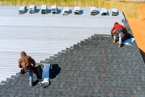 Best Tile Roofing Contractor  in La Joya, TX