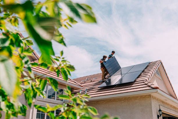 Best Roof Gutter Cleaning  in La Joya, TX