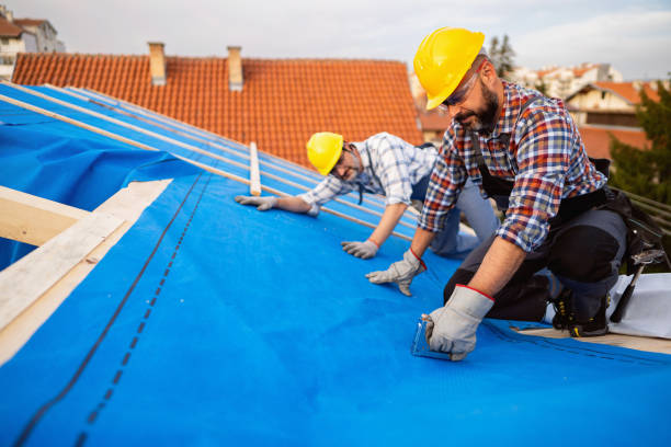 Best Commercial Roofing Services  in La Joya, TX