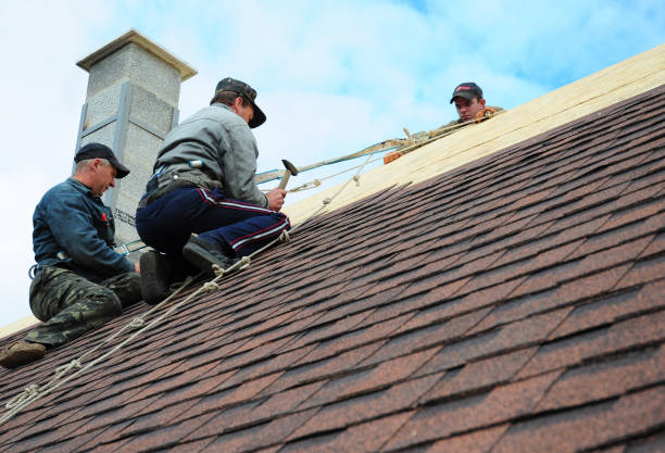 Best Roof Repair Specialists  in La Joya, TX